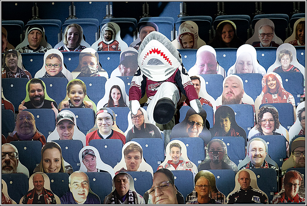 PENNY DEL;  Koelner Haie - Fischtown Pinguins Bremerhaven; Koeln, 12.02.2021